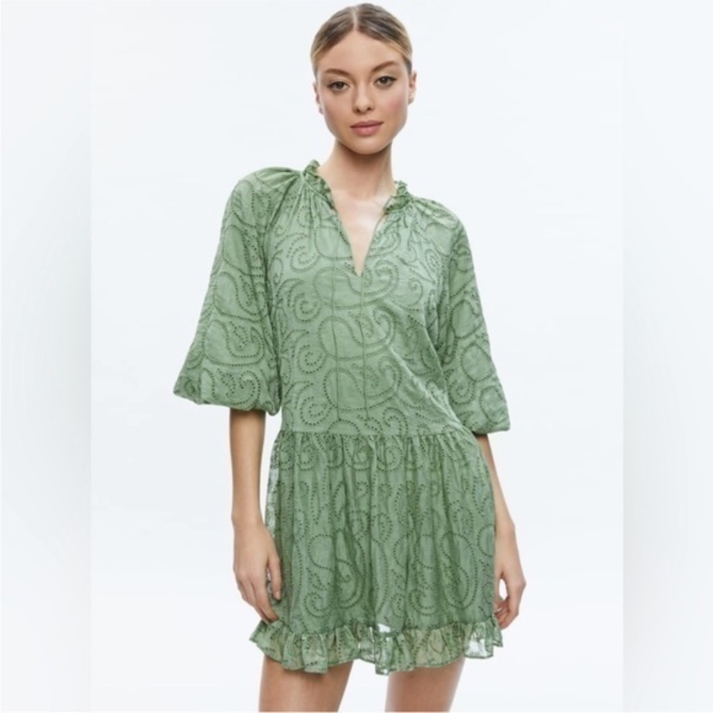 Alice + Olivia Sherrie Broderie Anglaise Chiffon Tunic
Mini Dress Sage Green Sm